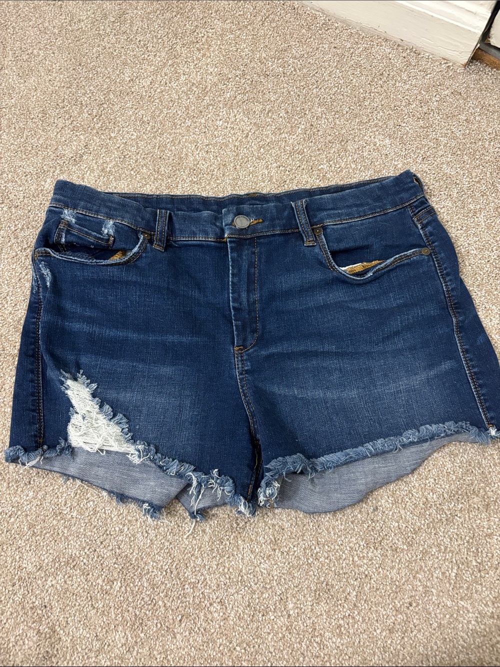 Blank NYC Dark Blue Denim Frayed Hem Women’s Shorts